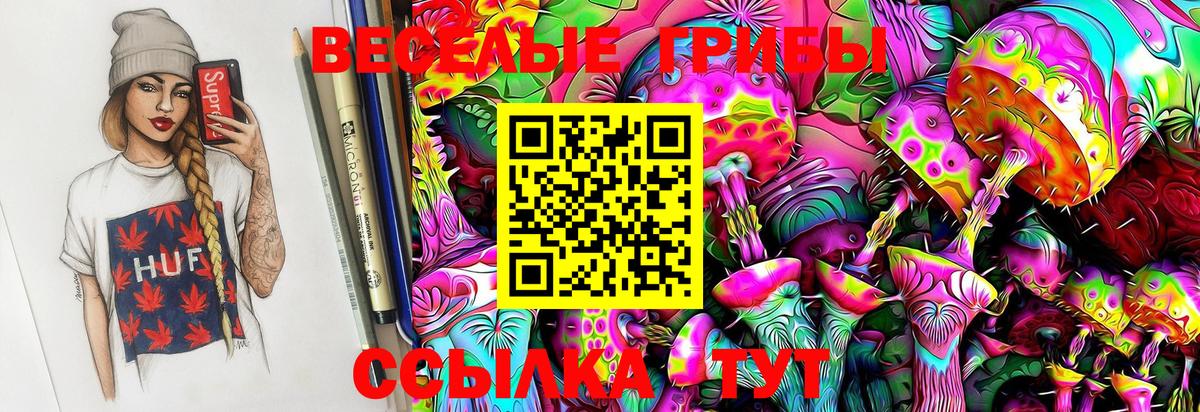 Псилоцибиновые грибы GOLDEN TEACHER  Вход с VPN  сколько стоит  Озёры  Галлюциногенные грибы мухоморы 